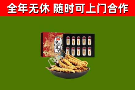 历下区回收冬虫夏草价格